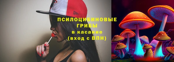 гидропоника Алексеевка