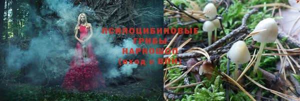 гидропоника Алексеевка