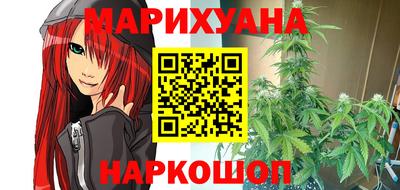 сатива Заволжье