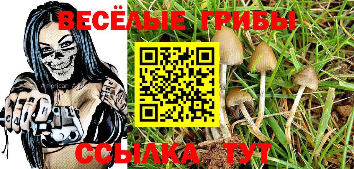 Магнитогорск  закладка  Галлюциногенные грибы Psilocybine cubensis  Вход с VPN  Псилоцибиновые грибы мицелий 